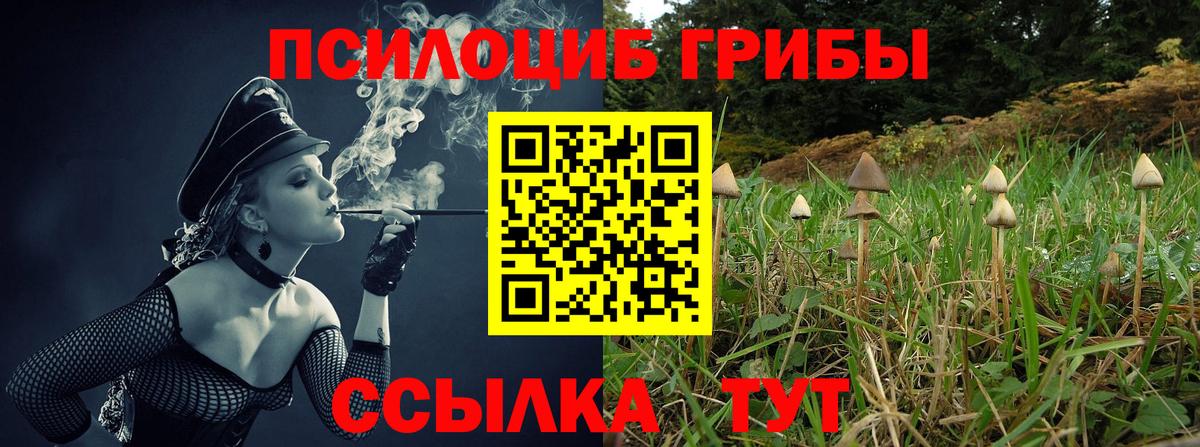 Псилоцибиновые грибы Psilocybe  Вход с VPN  Ижевск  Псилоцибиновые грибы ЛСД 